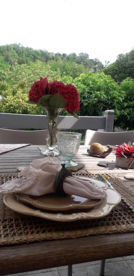 Cote Jardin Bed and Breakfast Périgueux Buitenkant foto