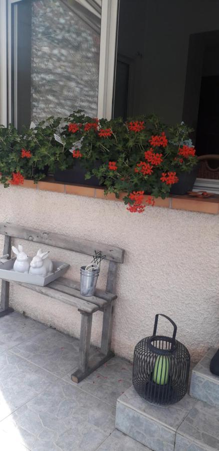 Cote Jardin Bed and Breakfast Périgueux Buitenkant foto
